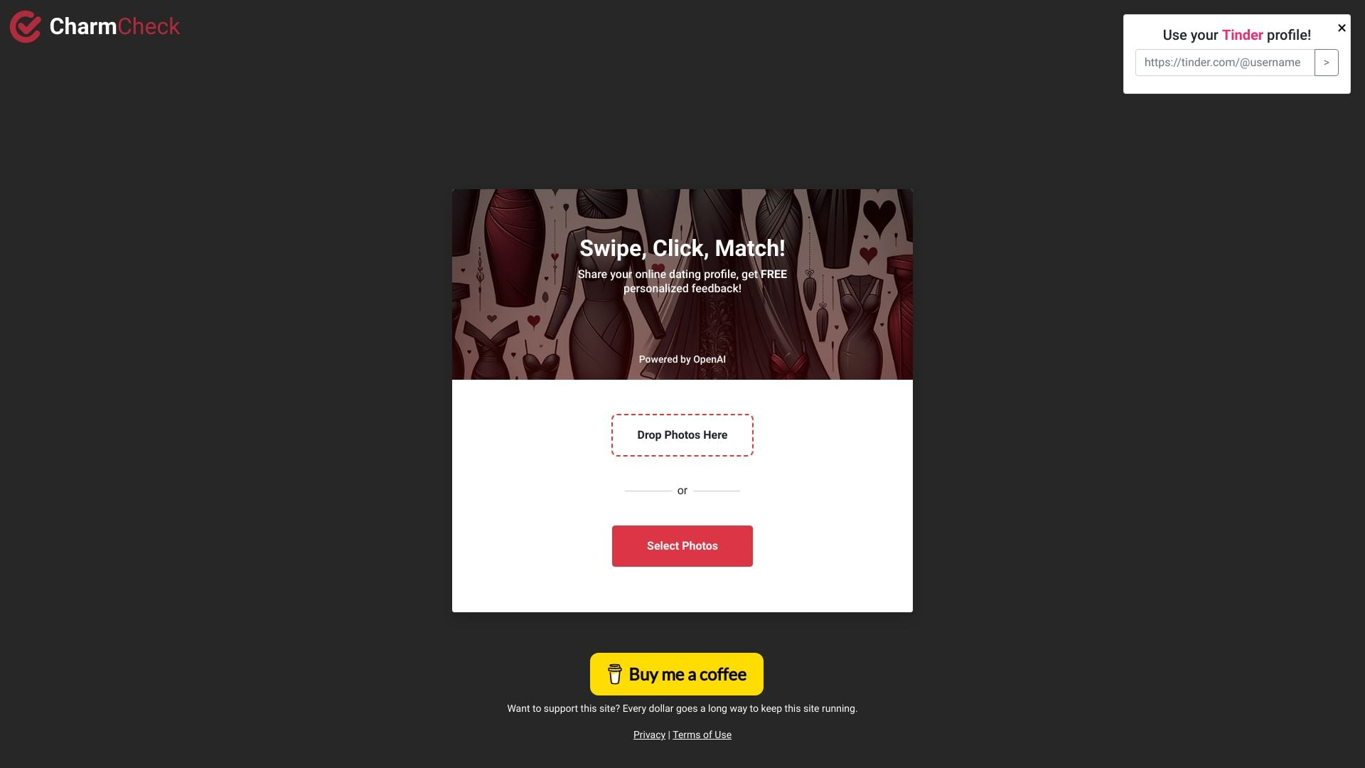 Charm Check homepage screenshot